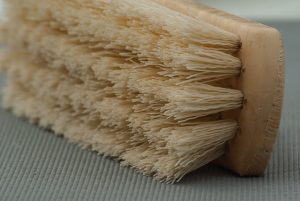 Bristle brush.